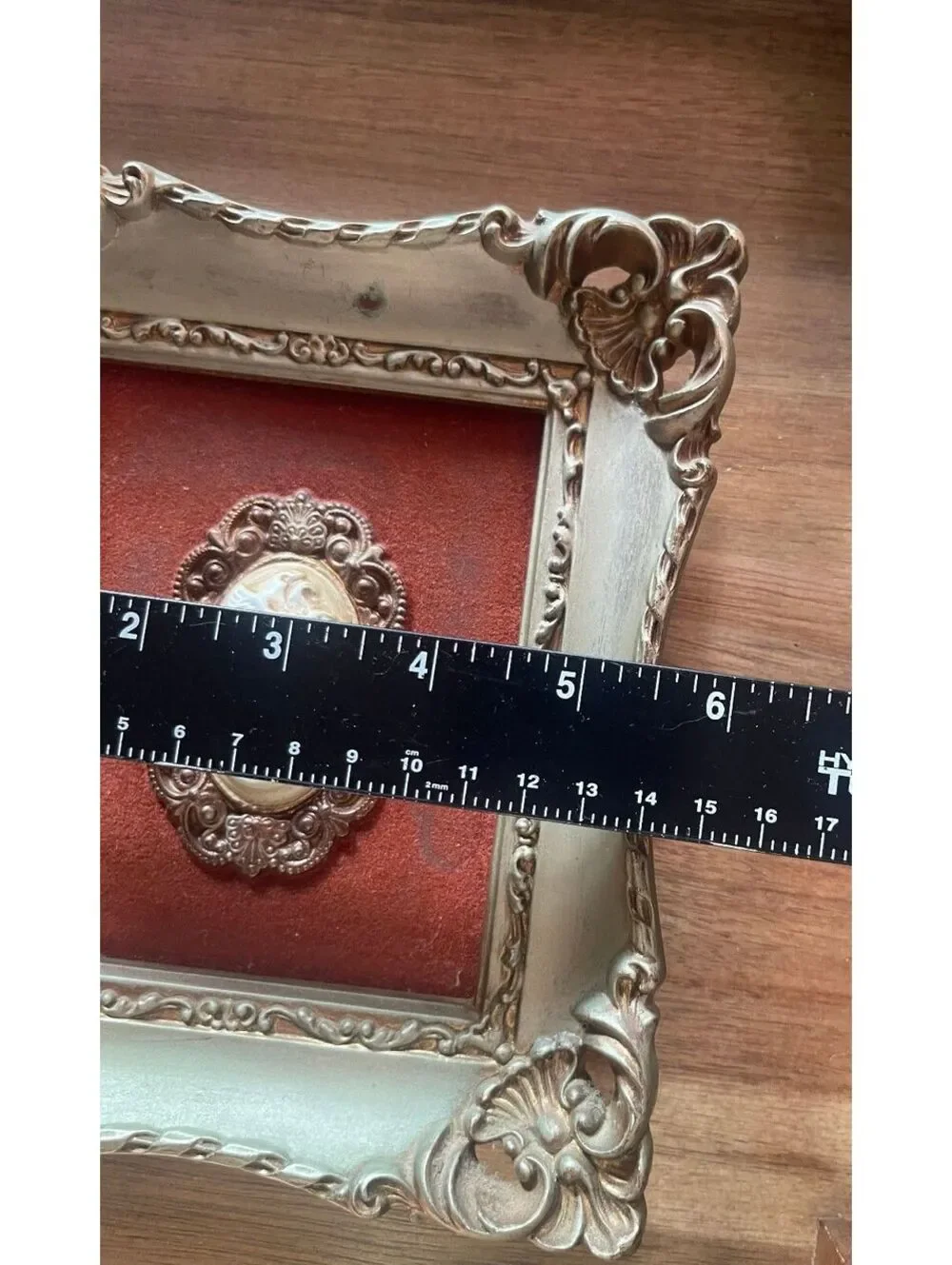 Vintage Turner Mfg. Co. Hand Colored Cameo in Ornate Gold Frame 1960s